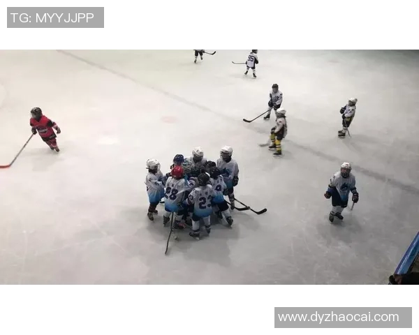 南京足球队在挑战赛中的力量展现与战术分析全面点评 南京足球队在挑战赛中的力量展现与战术分析全面点评