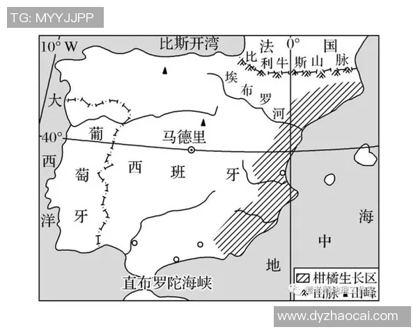足球明星网脱的背后故事与他们的职业生涯发展分析 足球明星网脱的背后故事与他们的职业生涯发展分析