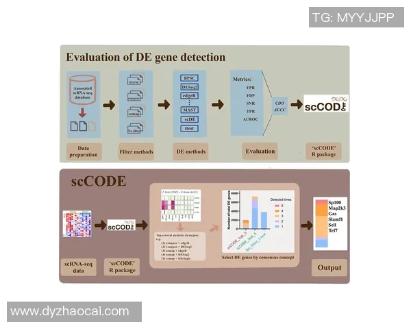 上海足球队团队协作表现的数据分析与提升策略探讨 上海足球队团队协作表现的数据分析与提升策略探讨