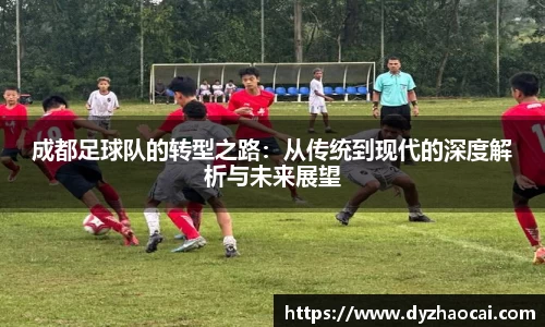 成都足球队的转型之路：从传统到现代的深度解析与未来展望
